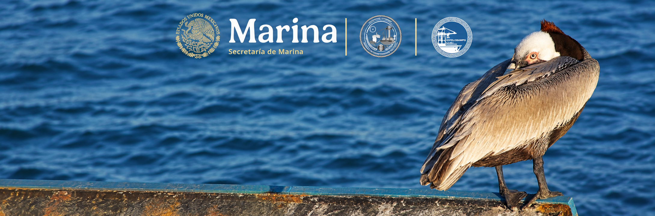 Noticia 2
